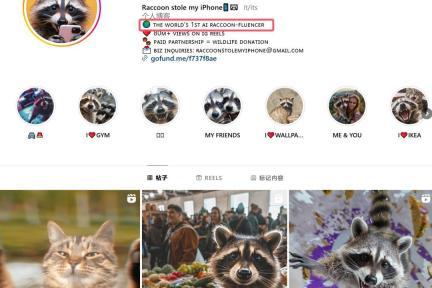 AI浣熊Instagram爆红 四个月吸粉14万 背后故事暖人心