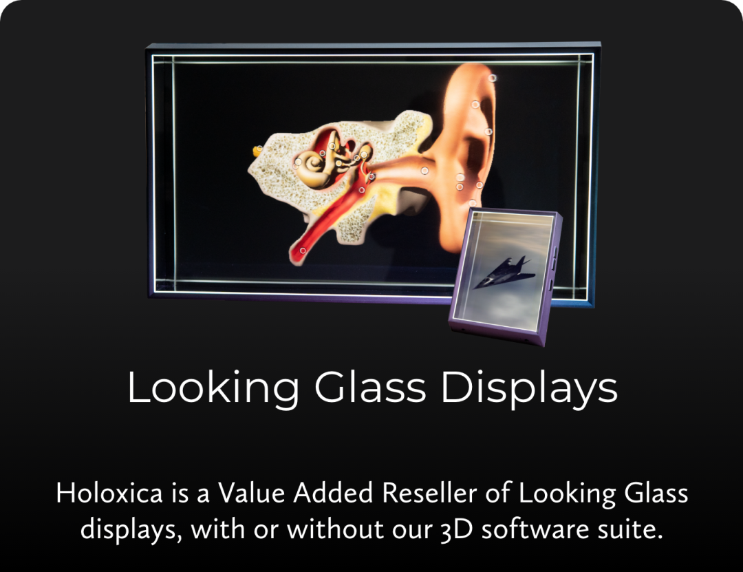 Looking+Glass+Displays.png