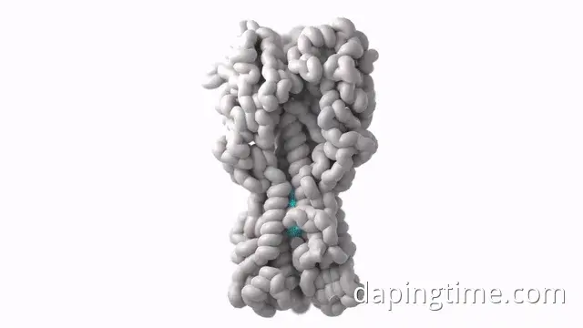 0BE519B7BD9762C2D03B9767F00472568FAAA33B_size5708_w640_h360.gif