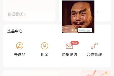 视频号带货：小白也能实现日赚1000+的创业机会