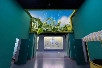 国家自然博物馆“植物世界”裸眼3D作品正式上线，科技与艺术的完美融合