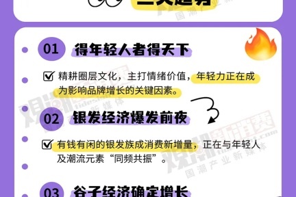 国潮新纪元：解码2025五大黄金赛道，破解Z世代到银发族的万亿财富密码