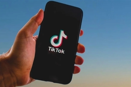 马斯克发声：拒绝收购TikTok，坚持从零起步的创业哲学