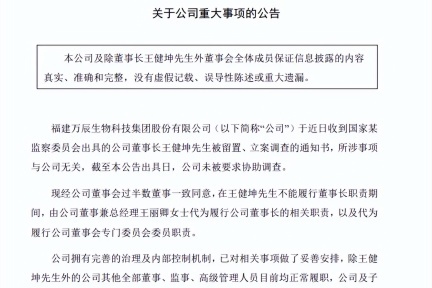 董事长被查引发连锁反应 万辰集团量贩零食霸主地位受挑战